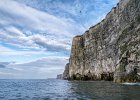 The Cliffs at RSPB Bempton, North  Yorkshire..jpg